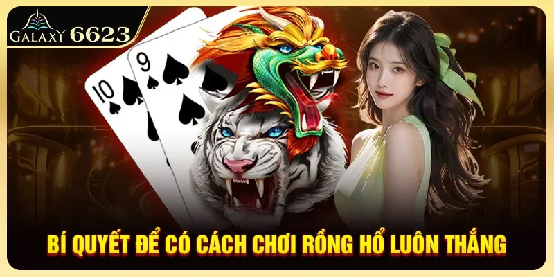 bi-quyet-de-co-cach-choi-rong-ho-luon-thang