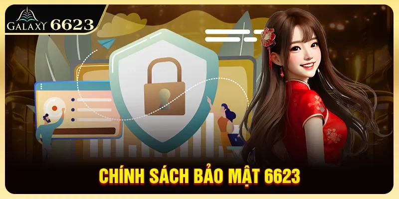 chinh-sach-bao-mat-6623
