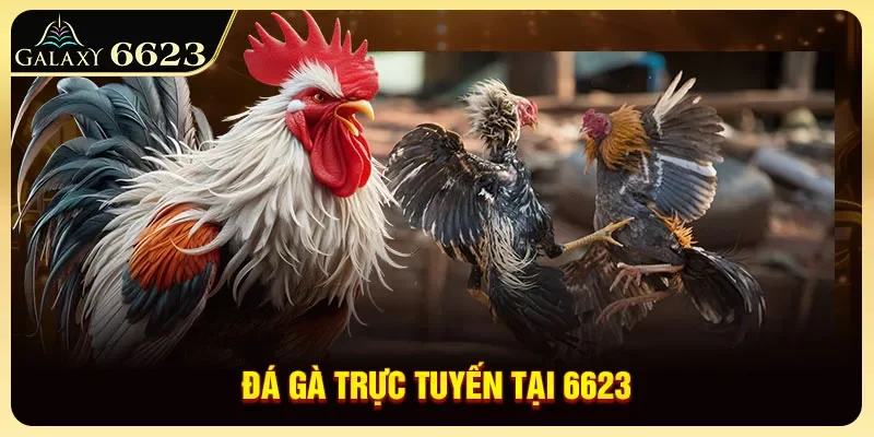 da-ga-truc-tuyen-tai-6623