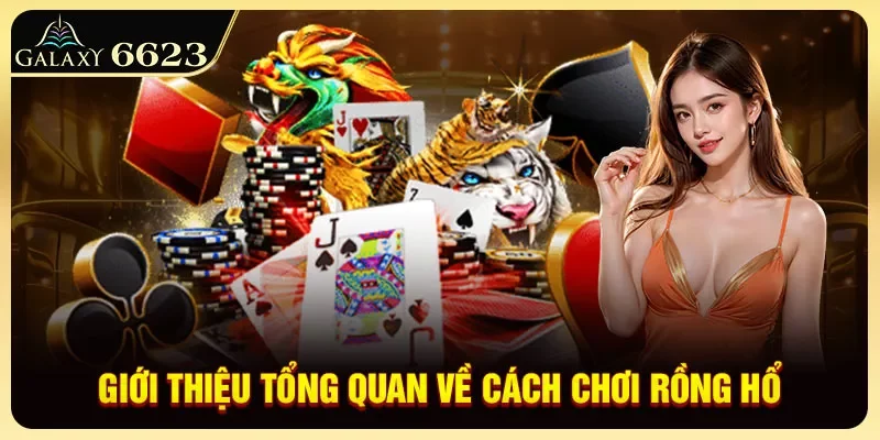 gioi-thieu-tong-quan-ve-cach-choi-rong-ho