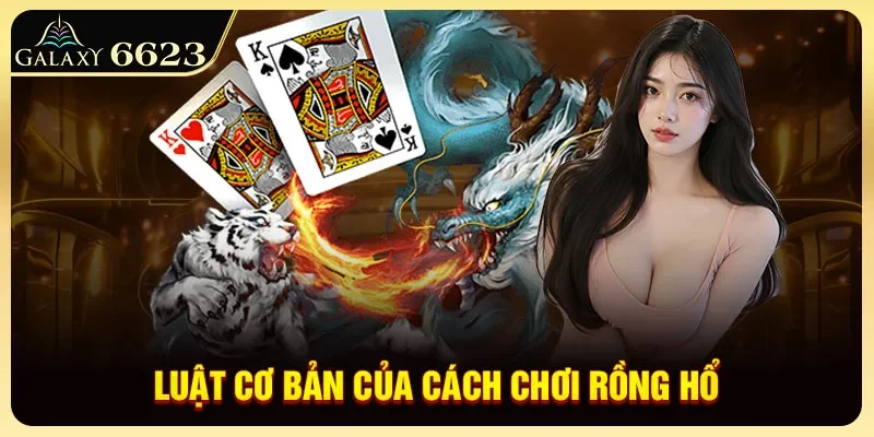 luat-co-ban-cua-cach-choi-rong-ho